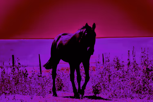 Item #97472780855113725442361506406406632137290984226550429674679319526450585927681 Media