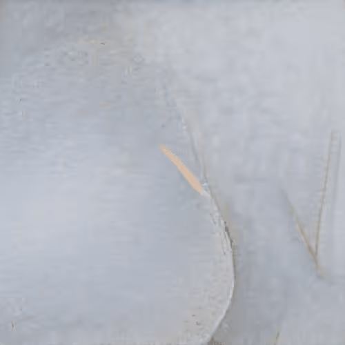 Item #23005699801348726946453604369168113764611283338315469620542080282613205958657 Media