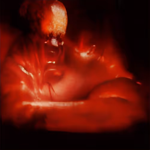 Item #98771142752491223589029056332849600761606894318122094950927075426074764509185 Media