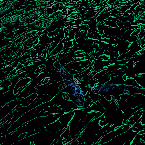 drone80 Collection - old