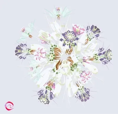 Item #101880184336832412765372440937325403979537770595125670184133729014909555965953 Media