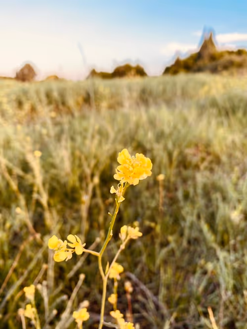 Item #3866288913648758624354938963490407324253260906508600415015108924120464621569 Media