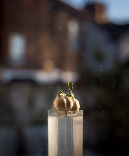 Item #108306877800807607984696183455629240131551285879430987987439970669950968791041 Media