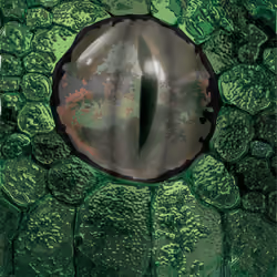 The Serpents Eye