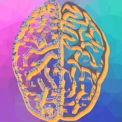 brain stuck in the web
