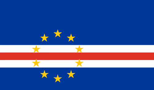 Item #33280003813723000344788787278252856667073020221741665904015060679963864727652 Media