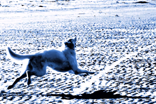 Item #97472780855113725442361506406406632137290984226550429674679319524251562672129 Media