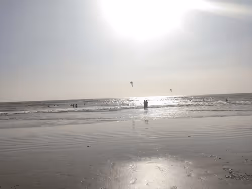 Item #28492546344238997982627040595659913257173957231691920694804582492579479683073 Media