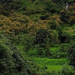 39916610678052500138596211548792698776473563312308341193271399268725636988929