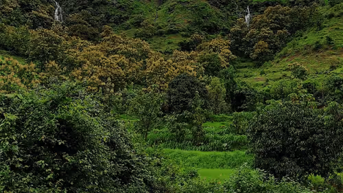 Item #39916610678052500138596211548792698776473563312308341193271399268725636988929 Media