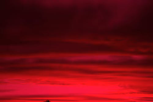 Item #102771070306004819985898819999052787652815039064996374663455445999403084546049 Media