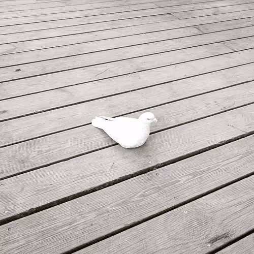 Item #56898950157913093593627224256500170032881666157173615048892704325326872772609 Media