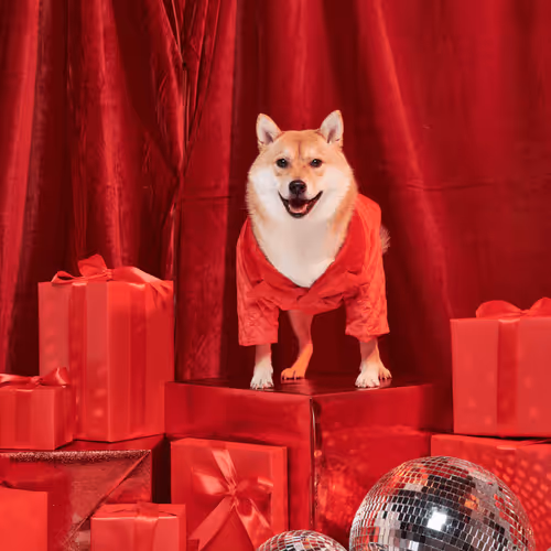 Untitled Collection #219910432