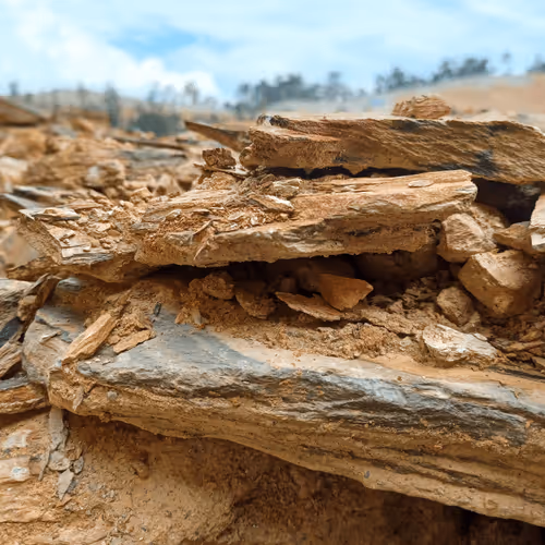 Item #32708508987210996203505439108186848896243903998336501445034175498031789506561 Media