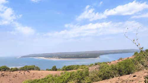 Item #28492546344238997982627040595659913257173957231691920694804582488181433171969 Media