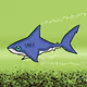 SHARK # 1902