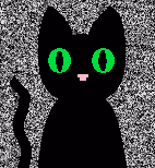 Untitled Collection #2361926451