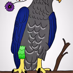 The anemone harpy