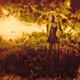 Gold Fusion #189