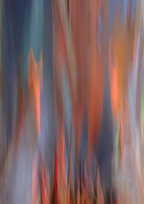 Item #23265726314410109476129301555838572111439838682222879854994044458631956529153 Media