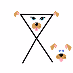 Funnkey dog #2