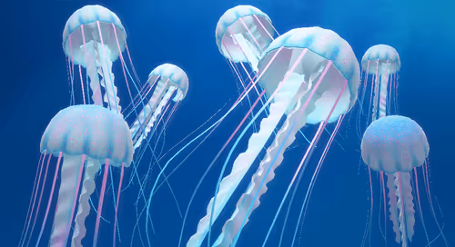 Item #41423174657448755454775180770704774351895892577704630438802697557768553889793 Media