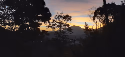 Untitled Collection #330832805