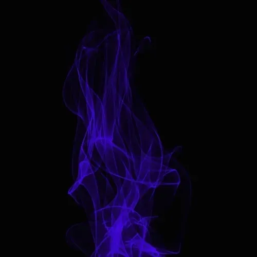 Item #65566000358404370780323819220112034083013972535169585834825609364034923003905 Media