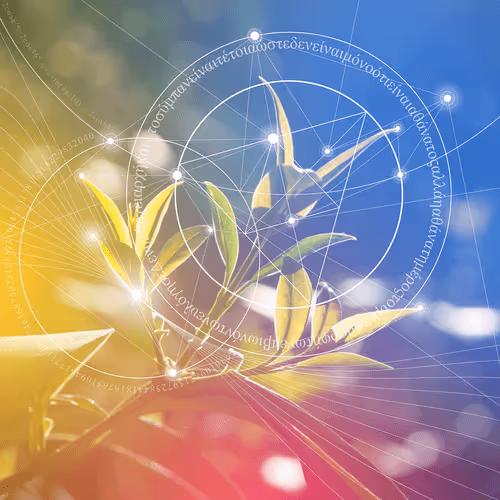 Item #32411125675487060619215429291378722085316015159672046256732381677349974835201 Media