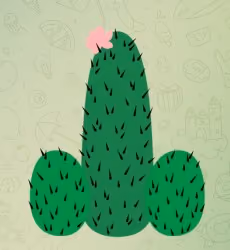 cactus from aliexpress