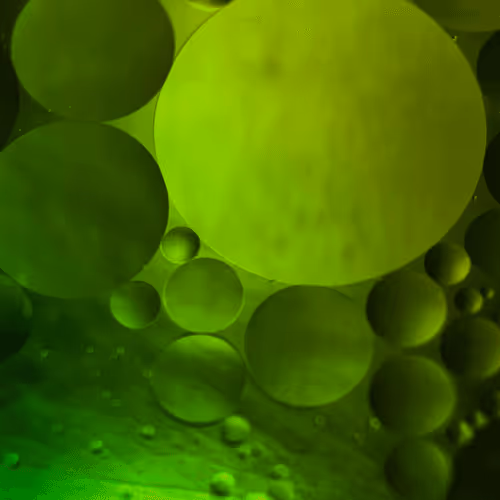 Item #75595575961320176908689771743552415637707284218923530060333789906869252259841 Media