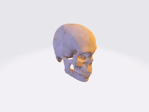 Item #44098408493006548588823562031673080966888211030052326412963979511561747170280 Media