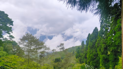 Item #33962819299539128783324513457483469790408897478649344990068676313375821529089 Media