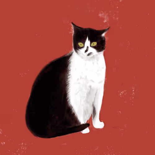 38103010869017264275268856103219652629034188725023547891382180239261543956481