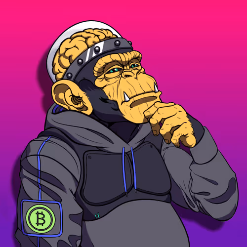 Item #14081044352755215726534277490824617440639353563455262326597696147786777493505 Media