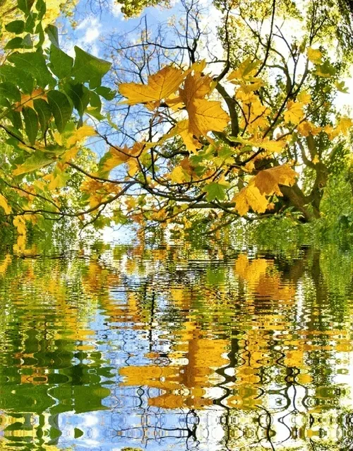 Item #33273431064062745158281459223994481396408298461003960329838769755803694923781 Media