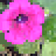 83659231968375175204518439520475776092910701480857313106477138196974052311140