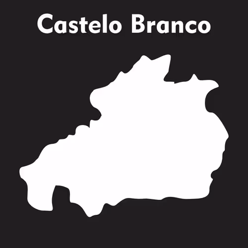 Item #53594356007989535792850162458107501771688790401863407050360661568792662376453 Media