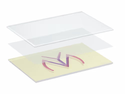 Untitled Collection #82719242