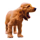 61298386707958247309460391154294233253284375844102386497827960784849186334480