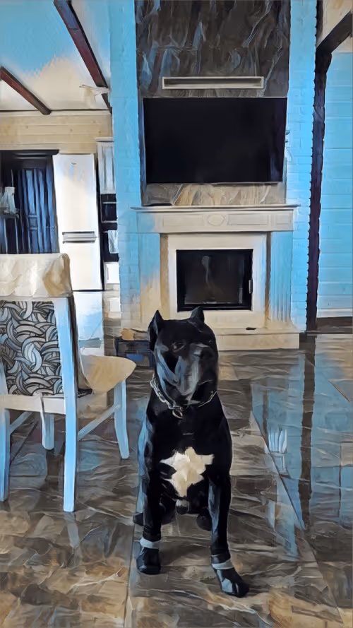 Item #37182515887132438156716547995651835477676529273037928400733563057707518263297 Media