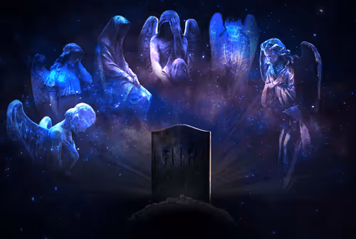 Item #68434927891014624317415557062834137852143522696892265020517829243232298467329 Media