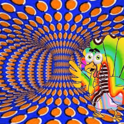 42110705805158500094163588696734144554429305137811752387231807017011613007873