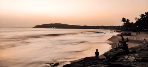 sajincena Collection