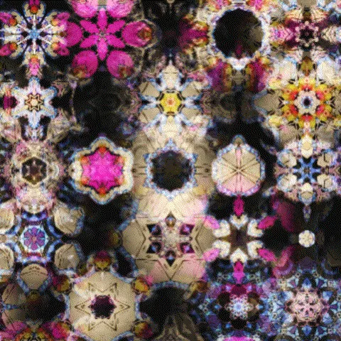 Item #103281051619592348087183206186418989279051956763323201953202030200299980939152 Media