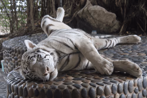 Untitled Collection #359874314