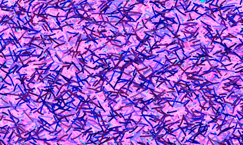 Item #37671797252818830032645010018488858802778721291022166209366081430075301953537 Media