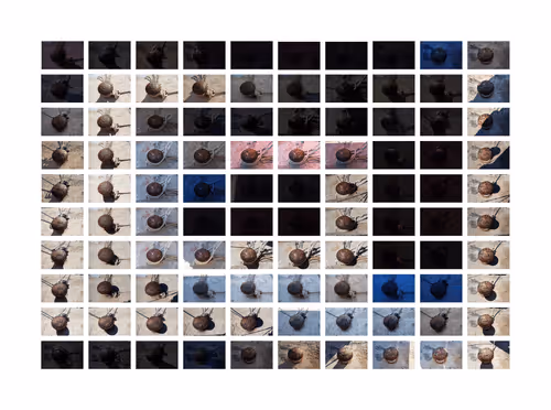 Item #99206175731752603969632246751396839615347692654100145142238794318186270425090 Media