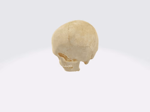 Item #44098408493006548588823562031673080966888211030052326412963979502765654148072 Media