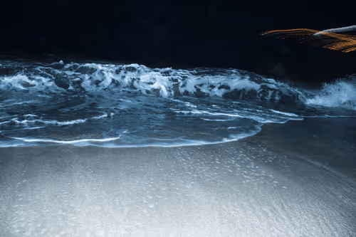 Item #65334289746679534718729475887804441956060191570096093289886828067389819584513 Media